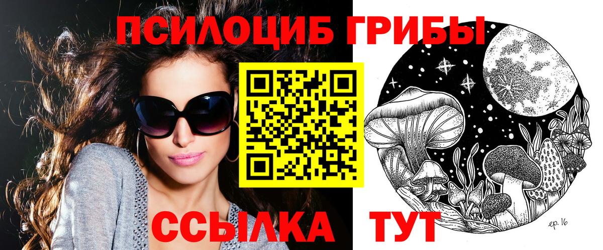 Апатиты  Псилоцибиновые грибы MAGIC MUSHROOMS  Вход с VPN  Галлюциногенные грибы прущие грибы 